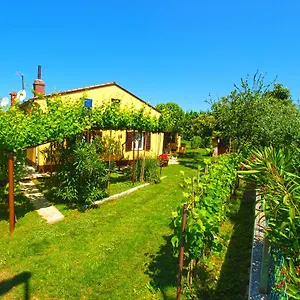 House 1037 Fažana